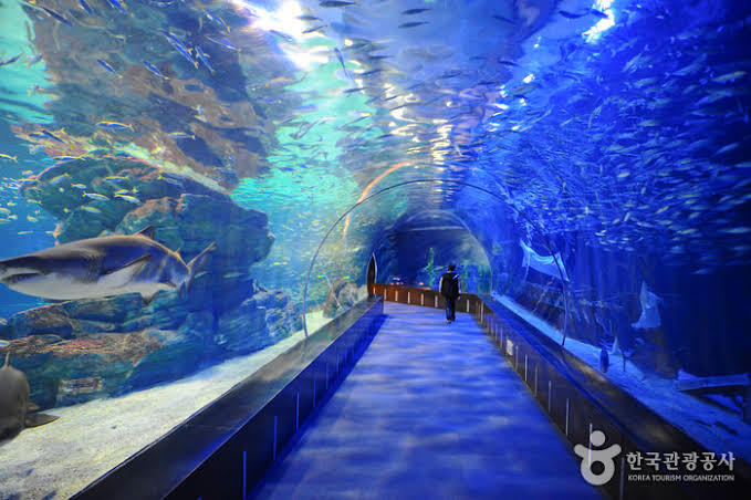 5 Tempat Wisata di Korea Selatan yang Cocok Buat Liburan Bersama Anak-Anak