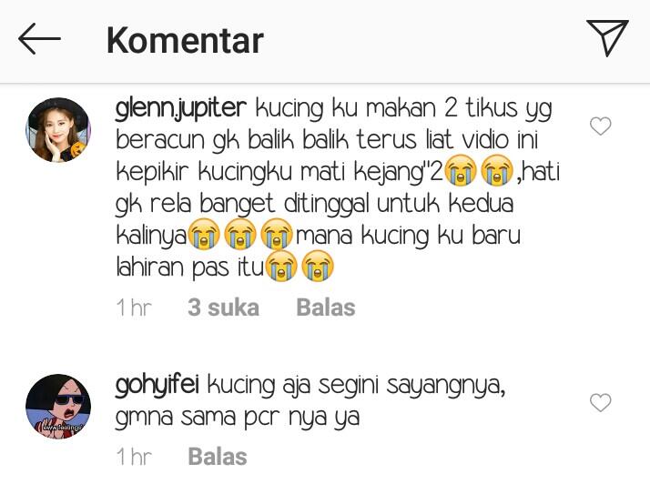 Nangis Karena Kucingnya Mati, Siswa SMA Ini Dapat Banyak Dukungan Natizen