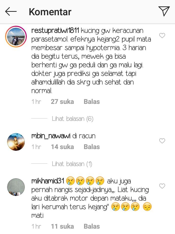 Nangis Karena Kucingnya Mati, Siswa SMA Ini Dapat Banyak Dukungan Natizen