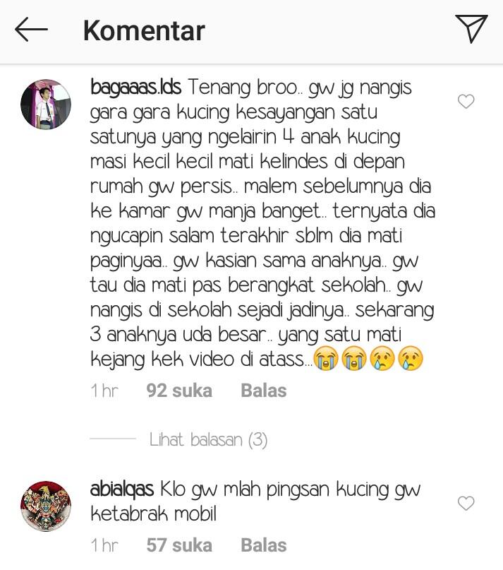 Nangis Karena Kucingnya Mati, Siswa SMA Ini Dapat Banyak Dukungan Natizen