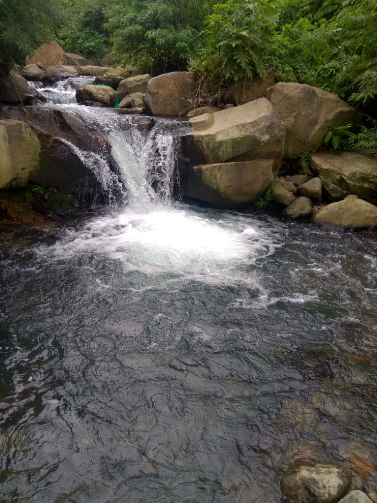 Sungai Jernih di Cibodas - Cianjur