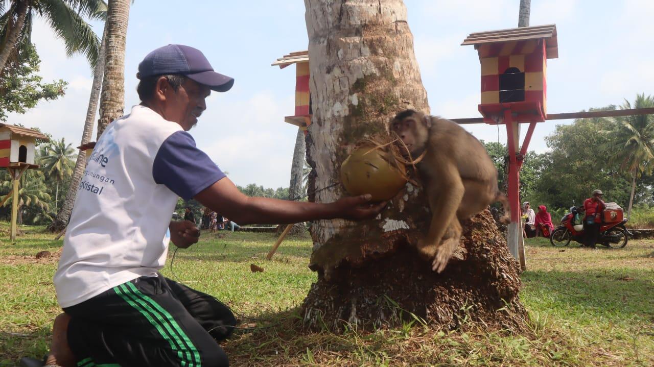 Menakjubkan! Ternyata di Indonesia Ada Sekolah Tinggi BERUK dan Pertama di Dunia