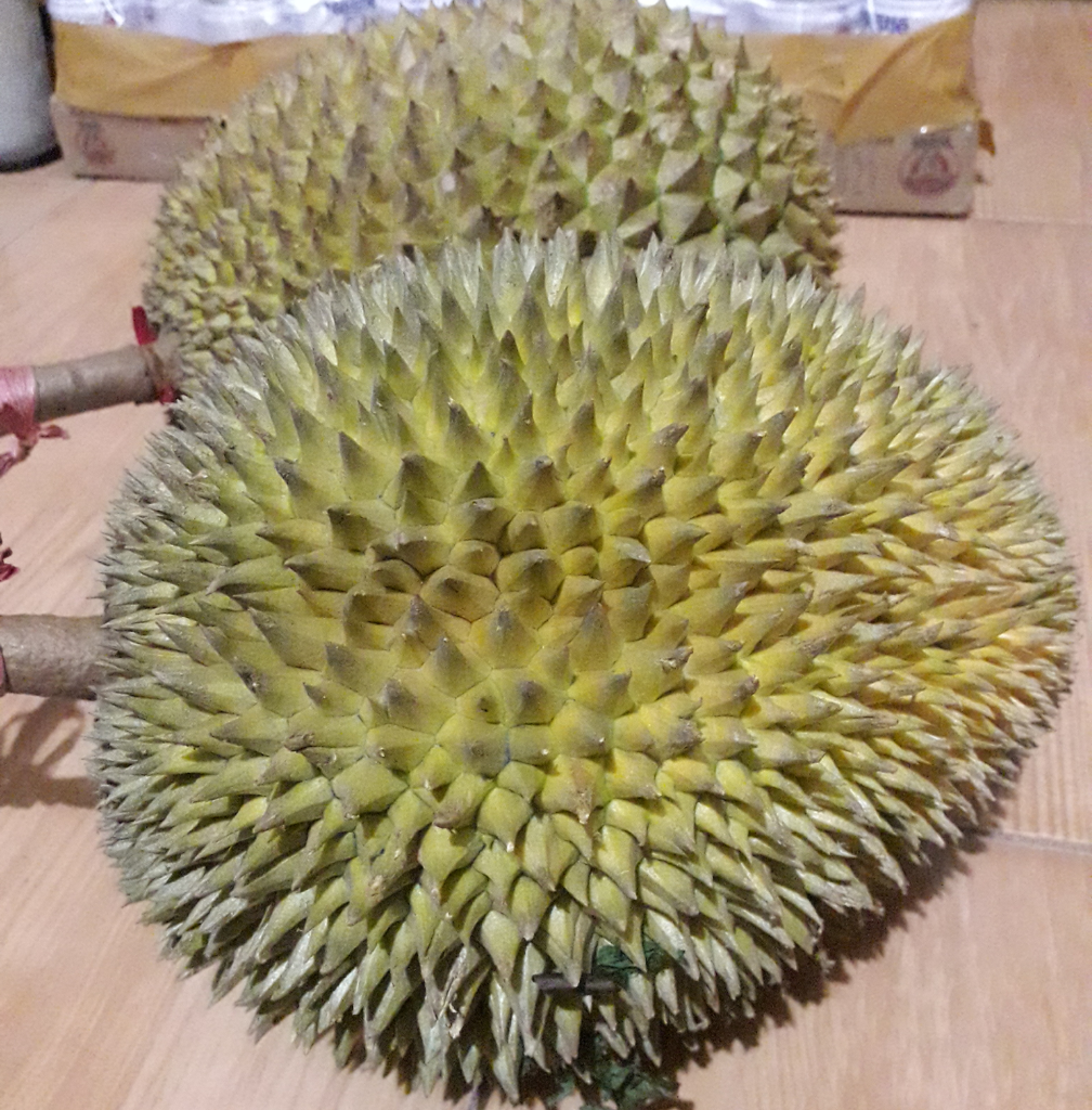 Musim Durian? Gak Usah Bingung. Bikin Aja Minuman Lezat Ini.