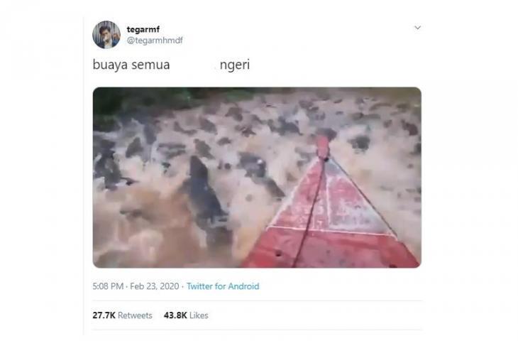 Duh! Nekat Terobos &quot;RIBUAN BUAYA&quot; , Aksi Pria Ini Bikin Ngeri Netizen !