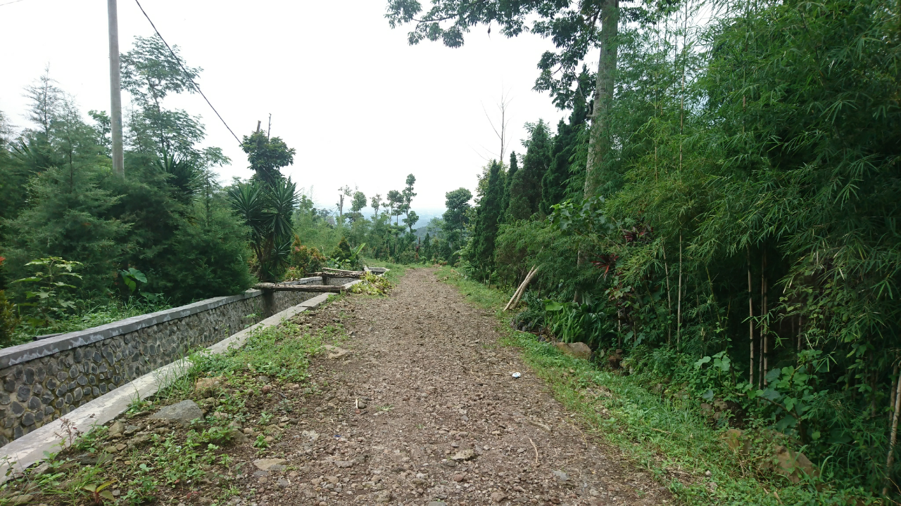 &#91;COC Regional : Tempat Wisata&#93; Mengintip Keasrian Air Terjun Granjangan Di Pasuruan