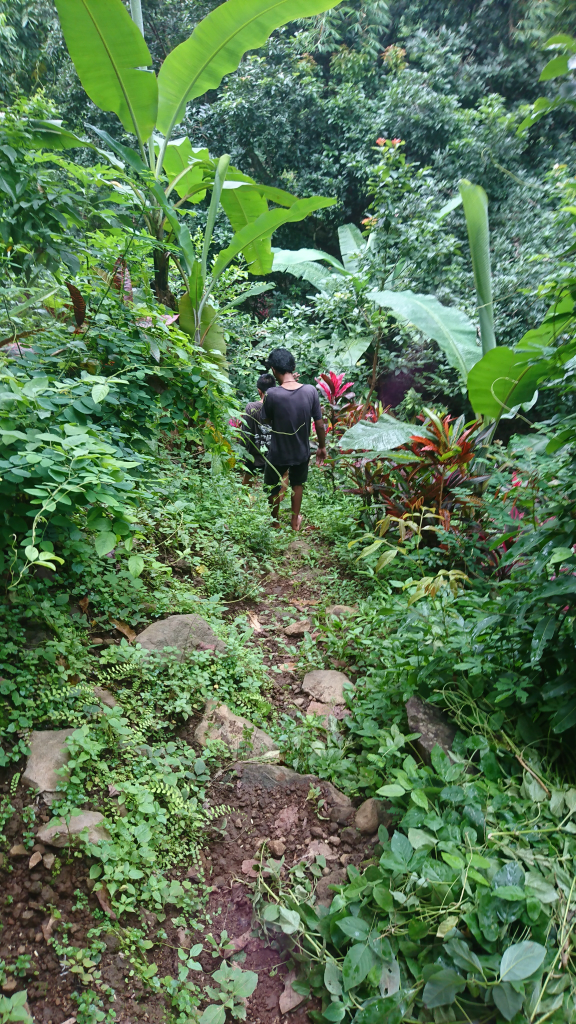 &#91;COC Regional : Tempat Wisata&#93; Mengintip Keasrian Air Terjun Granjangan Di Pasuruan