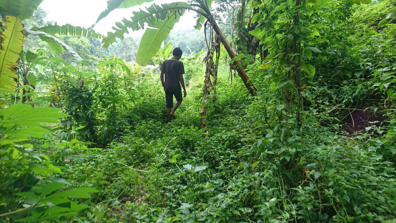 &#91;COC Regional : Tempat Wisata&#93; Mengintip Keasrian Air Terjun Granjangan Di Pasuruan
