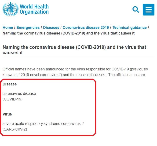 Pria Jepang Positif Virus Corona Setelah dari Indonesia, Kemenkes: Itu Bukan Covid-19