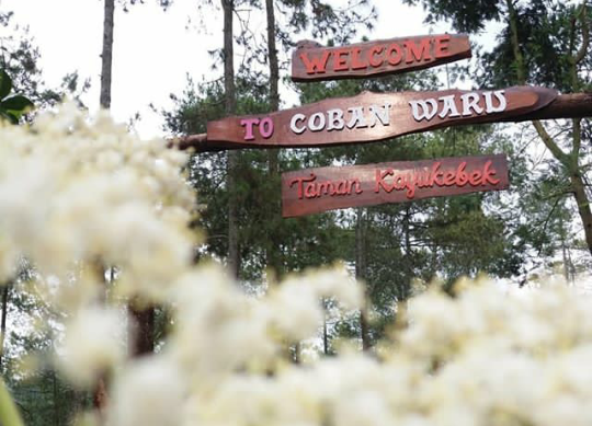 &#91;COC Regional : Tempat Wisata&#93; Coban Waru, Salah Satu Deatinasi Indah Di Lereng Bromo