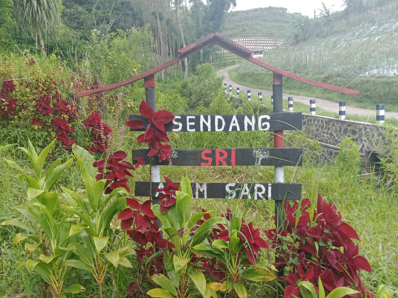 &#91;COC Regional : Tempat Wisata&#93; Sendang Sri Alam Sari Wisata Suci Di Lereng Bromo