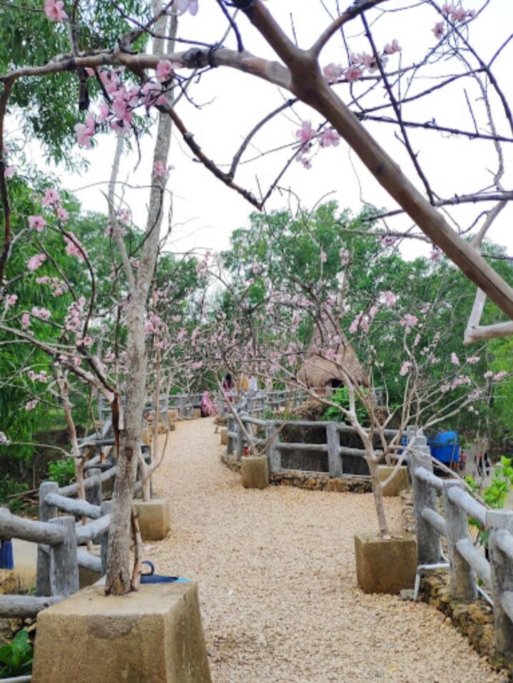 &#91;COC Regional: Lokasi Wisata&#93; Kampoeng Toron Samalem, Wisata Unik Dan Instagrammable
