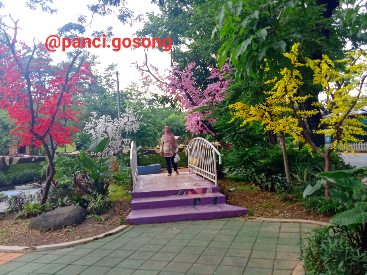 Ada yang Baru dari Kebun Binatang Surabaya!