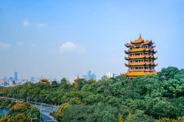 Mau Menuntut Ilmu Ke Negeri China (Gak Jadi Ada Virus Corona)