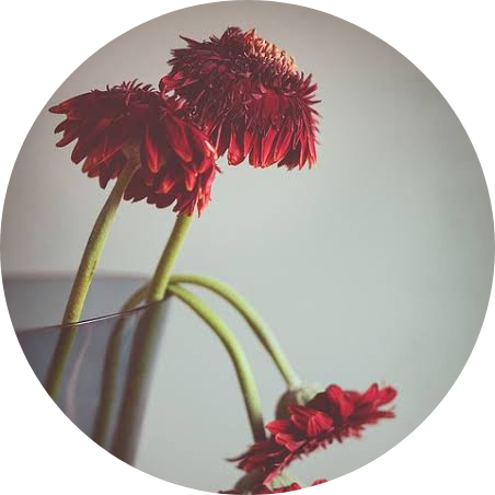 Late Bloomer, Si Telat Mekar
