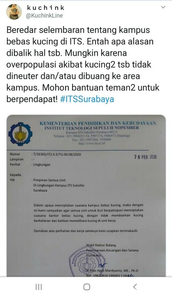 Viral! Surat Edaran Larang Kucing Berkeliaran di Kampus ITS Surabaya