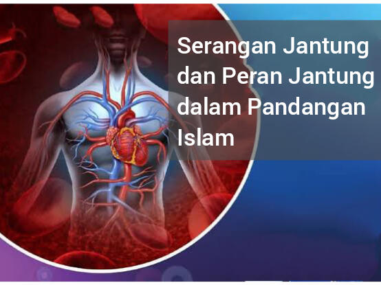 Islam Dalam Pandangannya Terhadap Serangan Jantung dan Peran Organ Jantung 