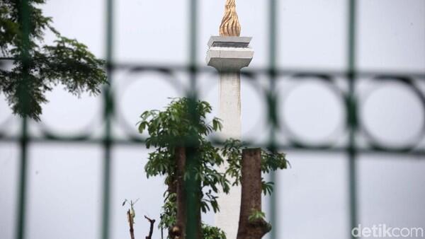 Dari 191 Pohon di Monas Ditebang, Hanya Ditemukan 46 Batang, Bagaimana Sisanya?