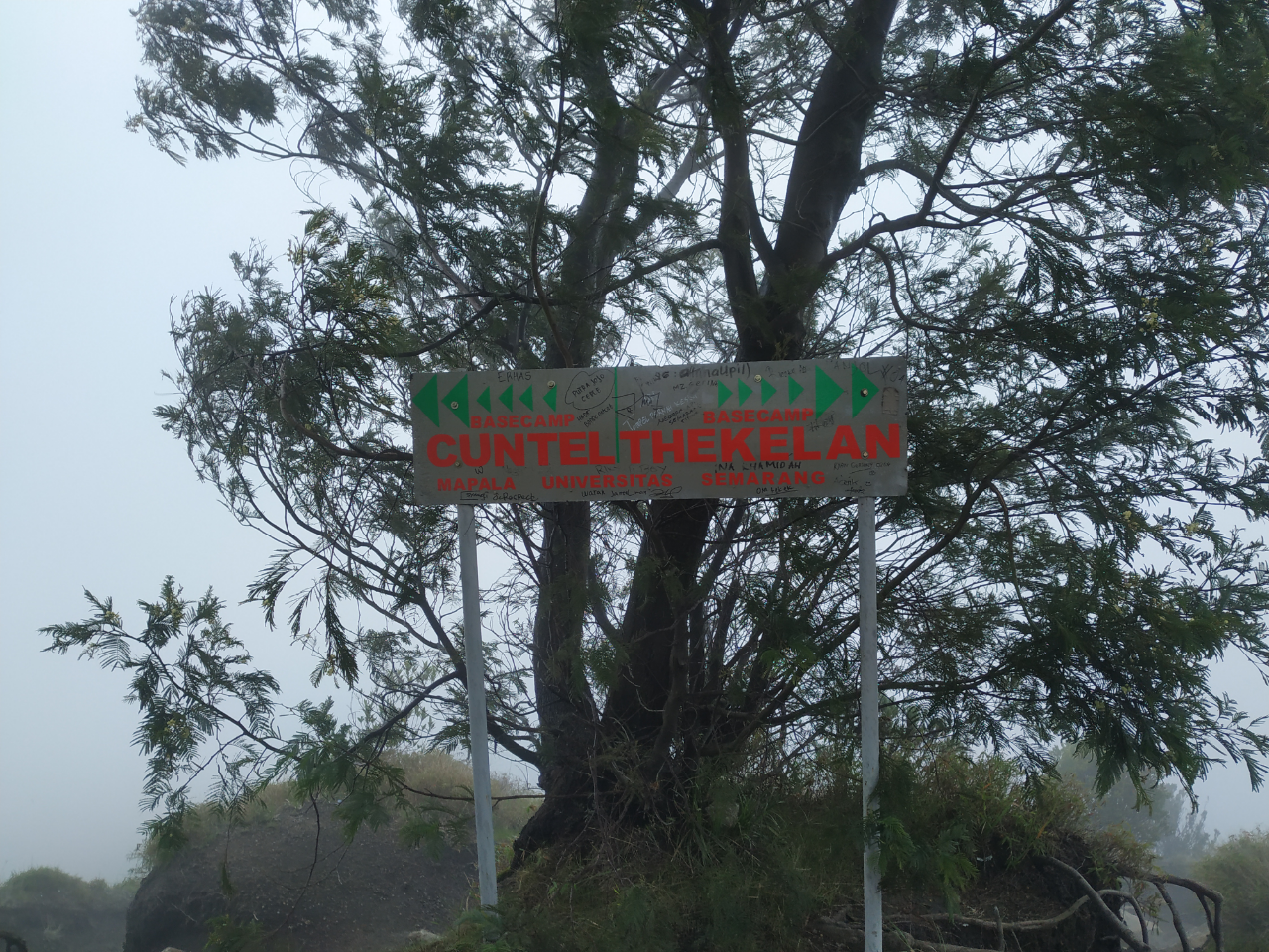 HORROR DAN NYARIS MATI - CERITA TEKTOK GUNUNG MERBABU VIA THEKELAN 29 FEBRUARI 2020 