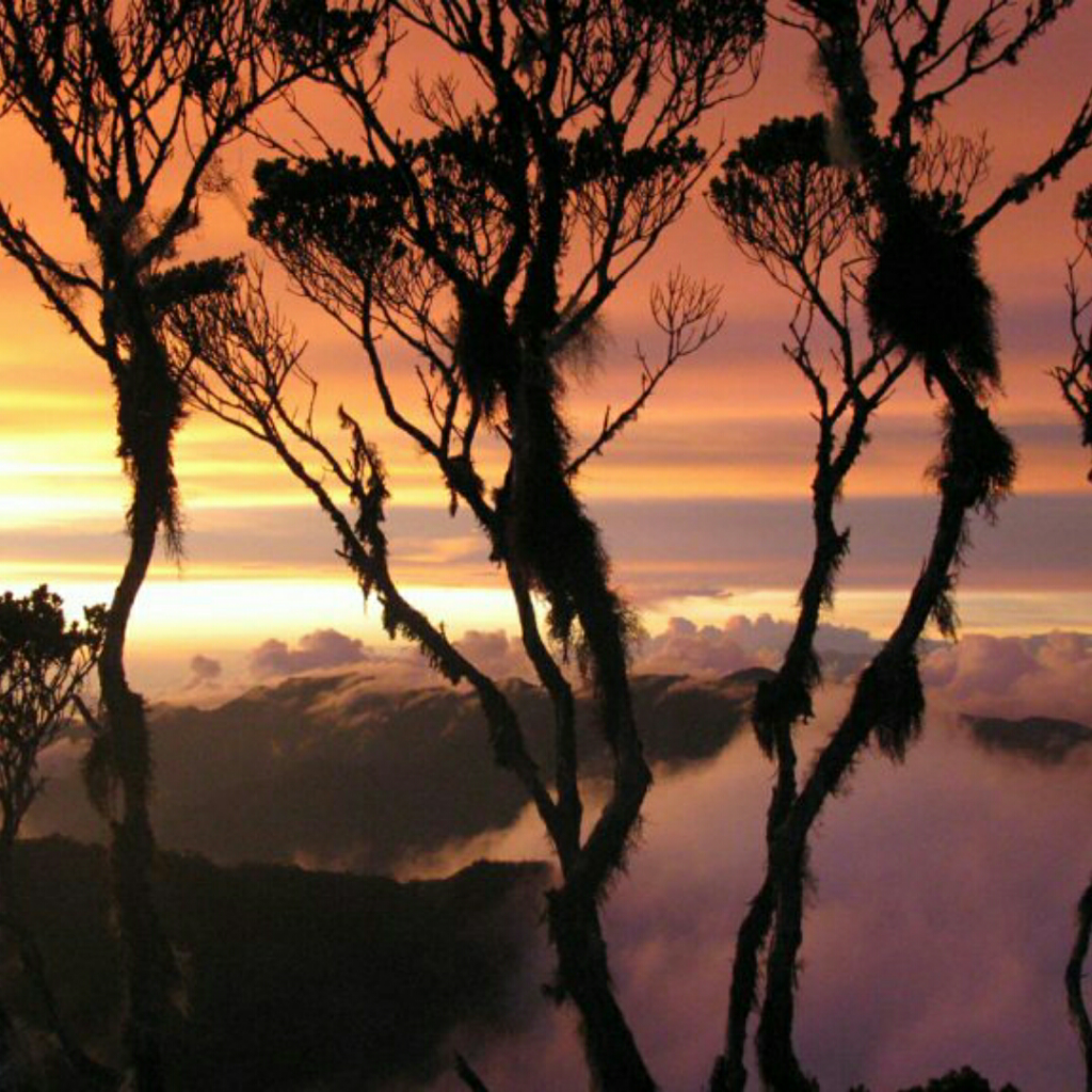 &#91;COC Regional : Lokasi Wisata&#93;Gunung Leuser yang Merupakan Warisan Dunia, Keren! 