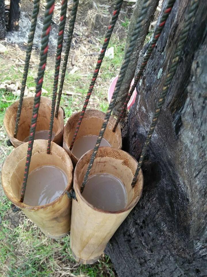 &#91;COC: Makanan Tradisional&#93; Segarnya Legen dan Siwalan Rembang