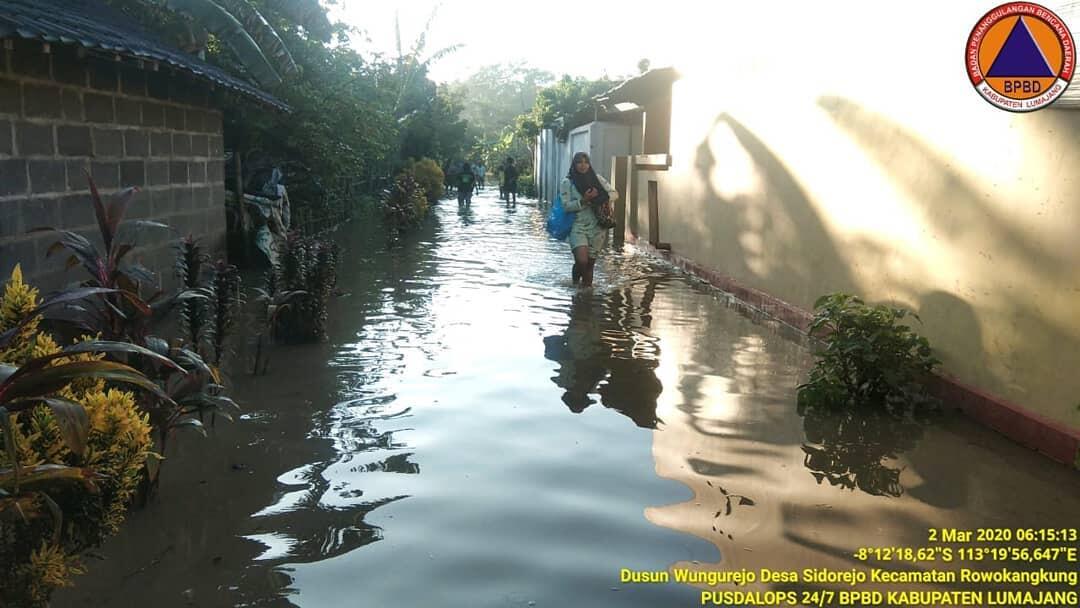 Sejumlah Desa Di Lumajang Banjir, Warga Berusaha Selamatkan Hewan Ternak!