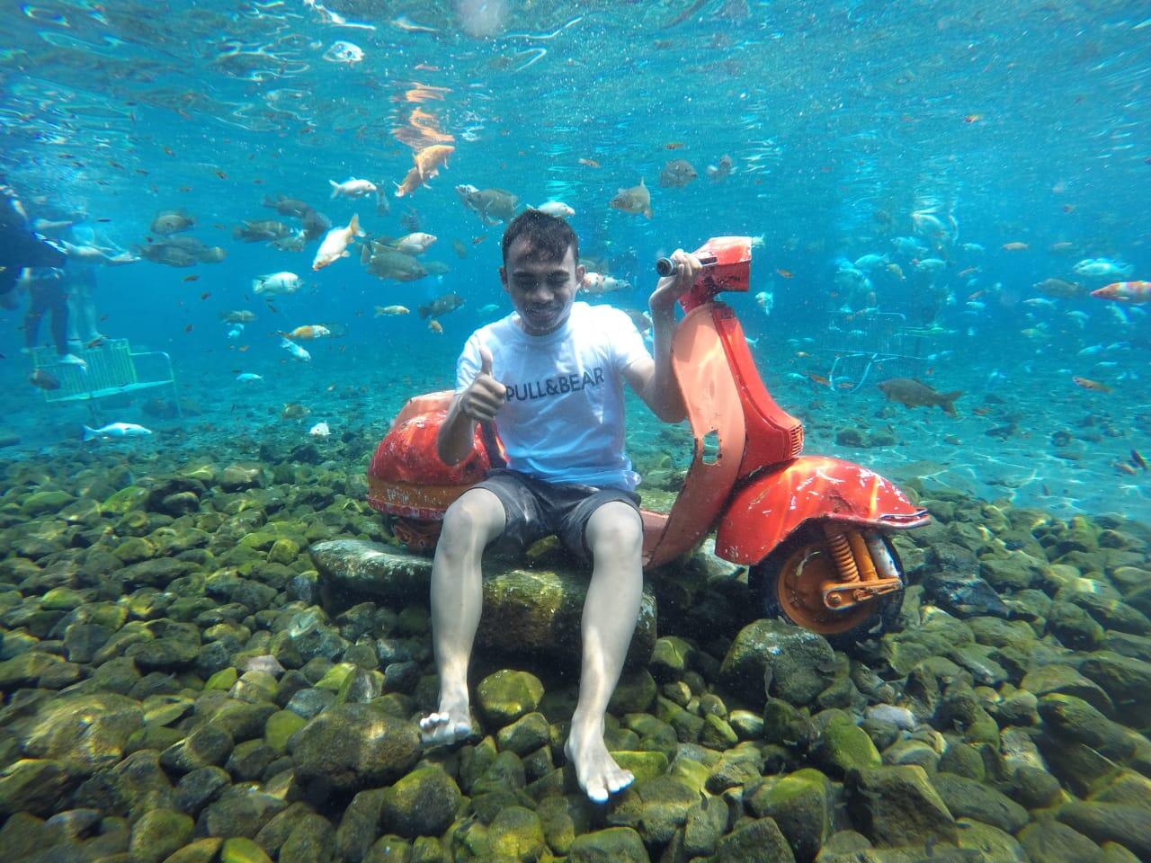 UMBUL PONGGOK KLATEN