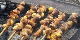 Yuk Mengenal Maluku Utara,dari batu bacan sampai dengan goyang tobelo dan ulat sagu.