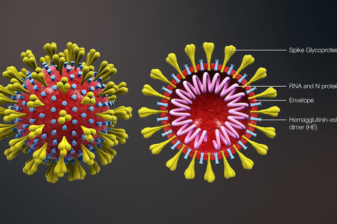 Bagaimana Corona Virus menyerang tubuh?