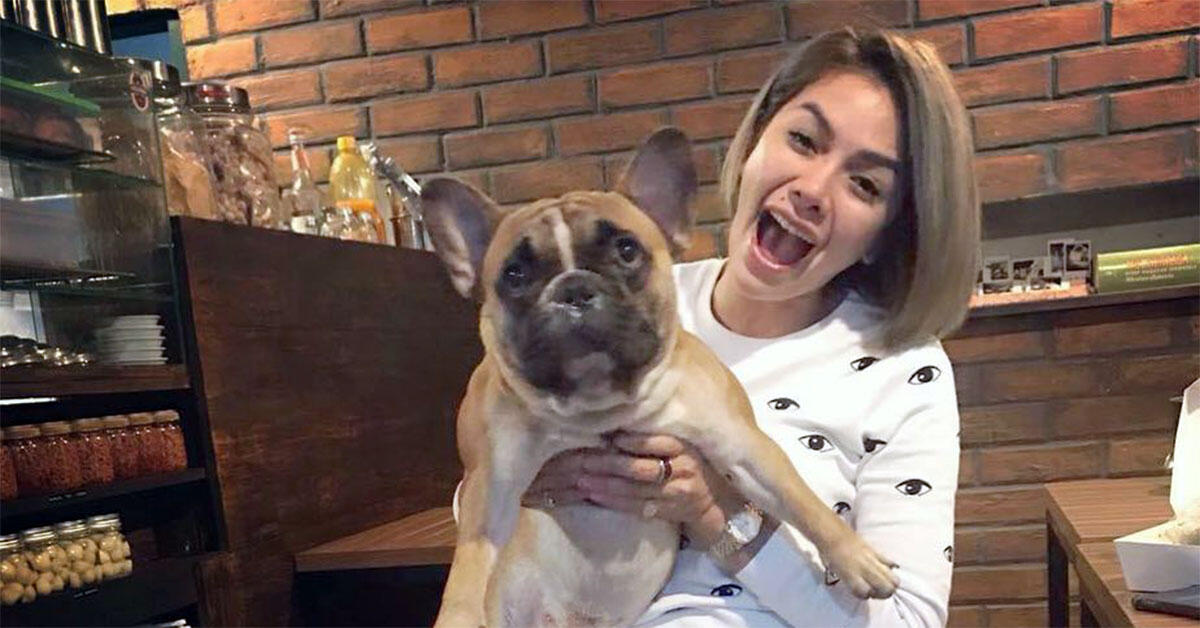 5 Tempat Keren Setelah Perawatan Hewan di Jakarta | KASKUS