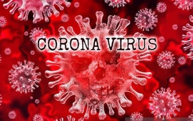 Heboh!! Virus Corona Kembali Lagi? WNI Masih Ada Disana!!