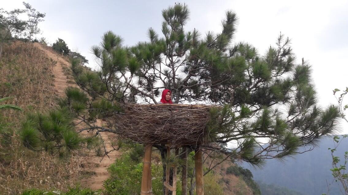 &#91;COC Regional: Lokasi Wisata&#93; Pesona Gardu Pandang Bukit Ternadi Dawe