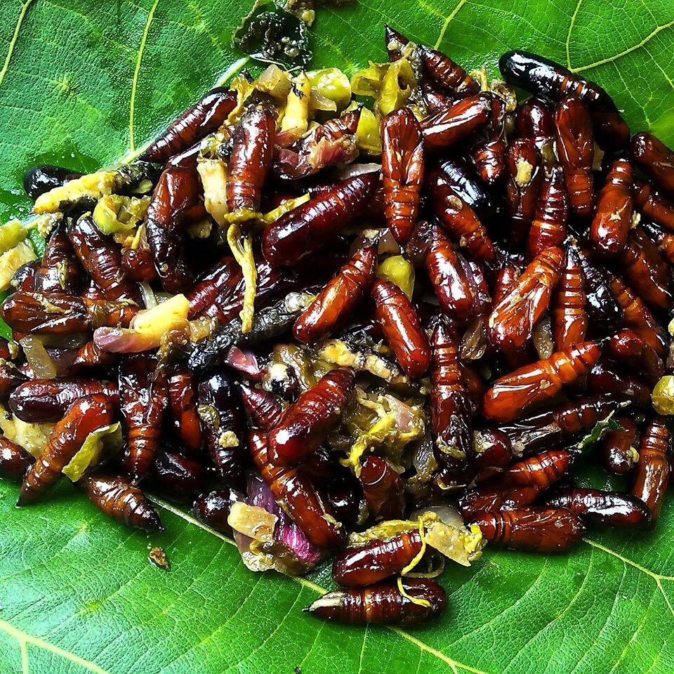 &#91;COC Regional: Makanan Tradisional&#93; Ungker Jati, Gurihnya Kuliner Eksotis Alas Blora