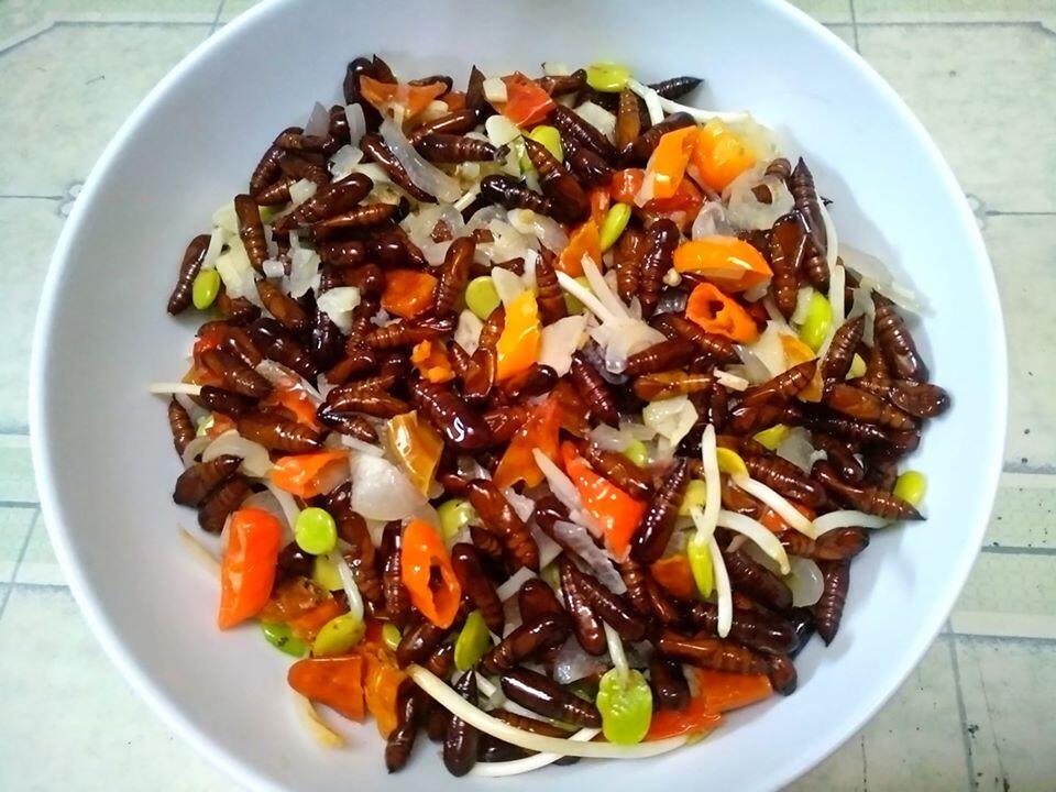 &#91;COC Regional: Makanan Tradisional&#93; Ungker Jati, Gurihnya Kuliner Eksotis Alas Blora