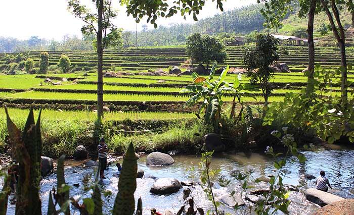 &#91;COC Regional : Lokasi Wisata&#93; Wana Wisata Grape Madiun yang Menyejukkan