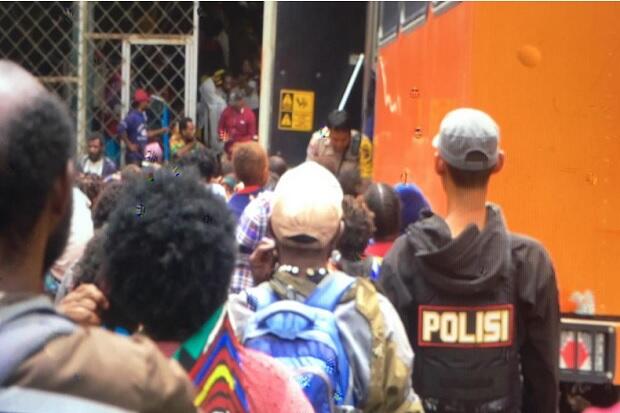 OPM Turun Gunung, 699 Warga Tembagapura Dievakuasi Pakai 11 Bus Anti Peluru