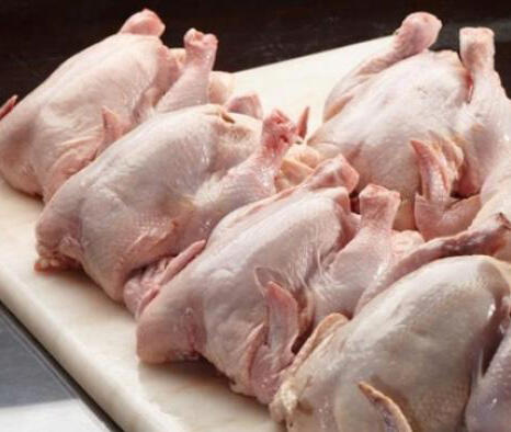 Cara memaksimalkan bobot ayam broiler untuk dijadikan karkas ayam!
