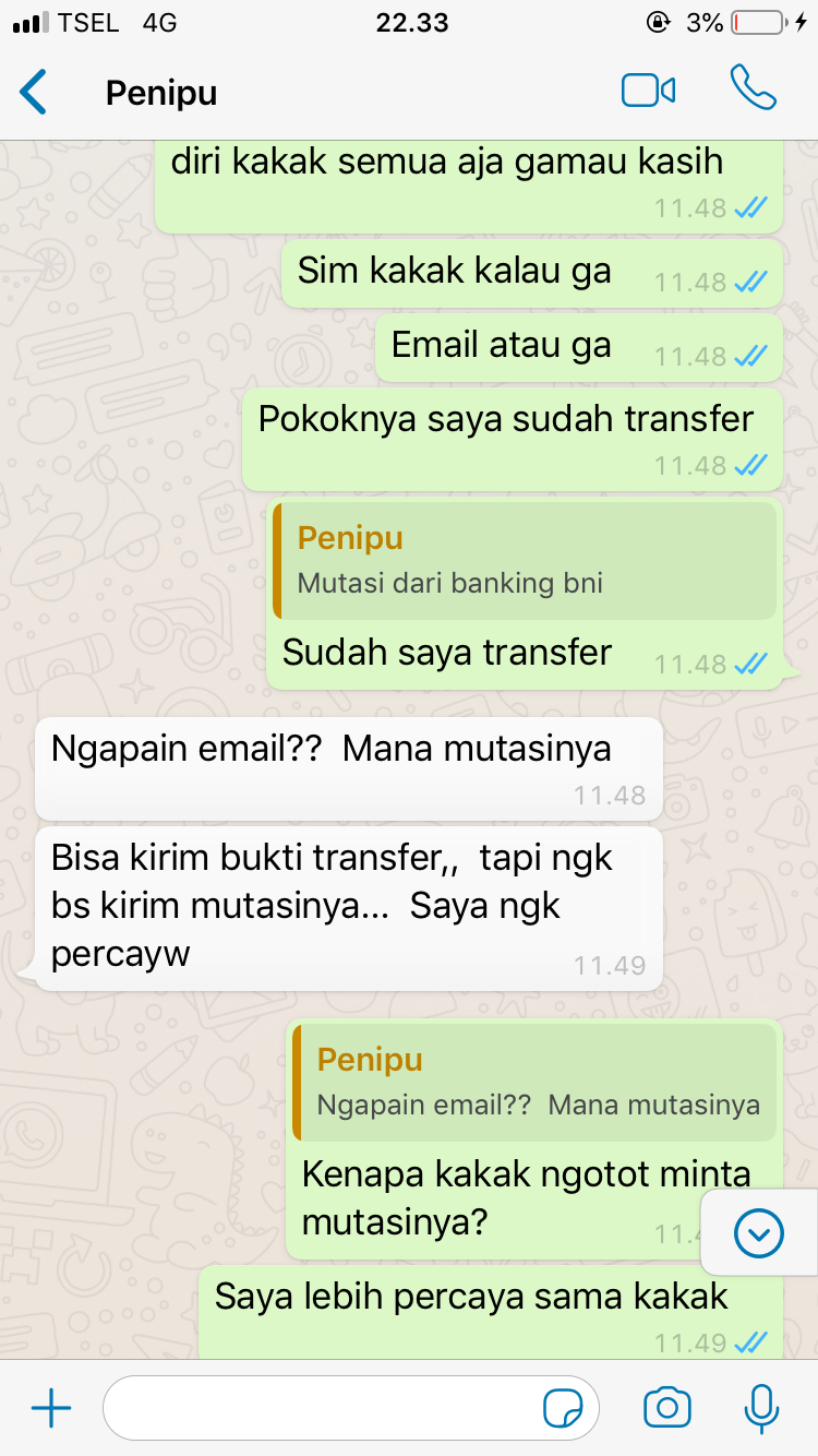 Penipuan Online (part 2)