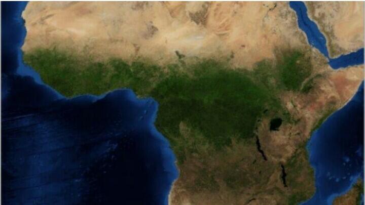Pemerintah Rep. Kongo Siap Tebang Hutan Afrika Demi Perusahaan China,Kata Greenpeace