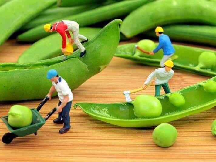 Inilah 7 Potret Unik Dunia Dalam Miniatur, Dijamin Bikin Mata Fresh! Penasaran?