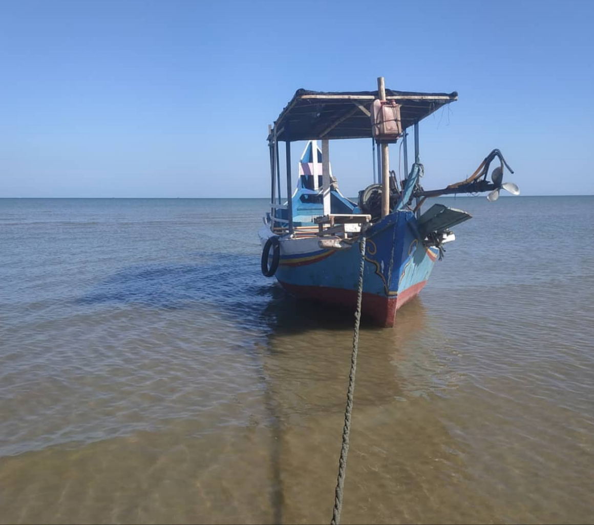 &#91;COC Regional: Lokasi Wisata&#93; Ubur-ubur dan Bintang Laut Bisa Dijumpai di Pantai Ini