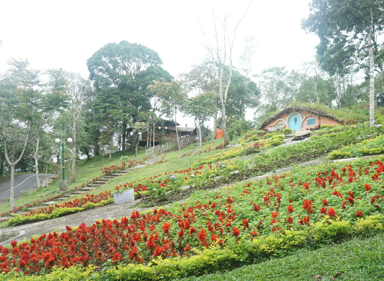 Pengalaman Solo Travel ke Sumatera Barat