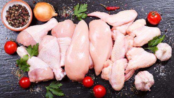 Perbedaan Kadar Nutrisi dan Kalori Daging Ayam Bagian Paha dan Dada