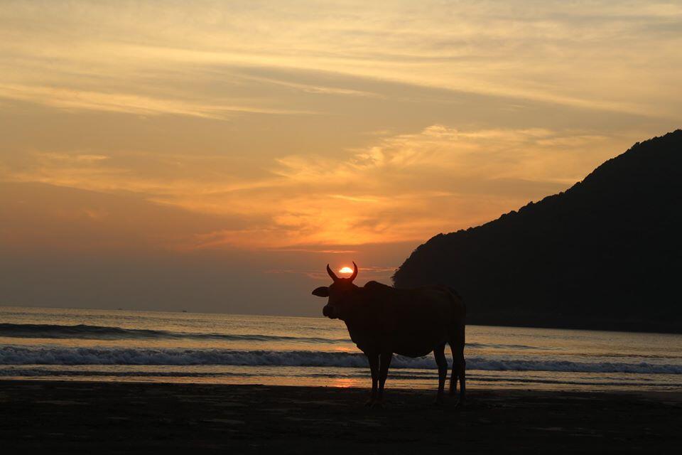 &#91;COC Regional : Lokasi Wisata&#93; Mengejar Sunset Pantai Lhok Nga