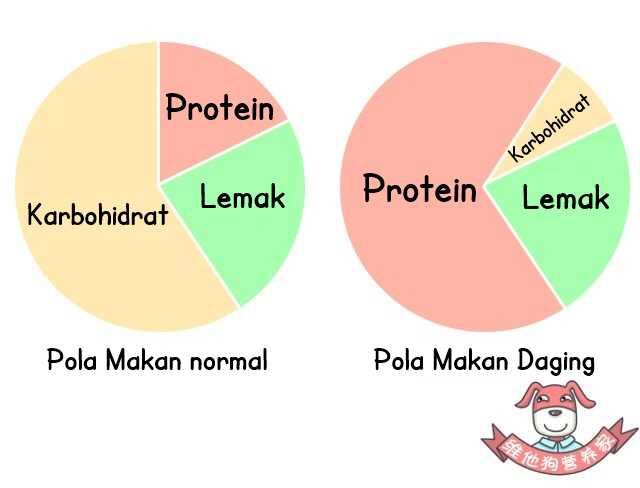 Apa itu Diet Atkins