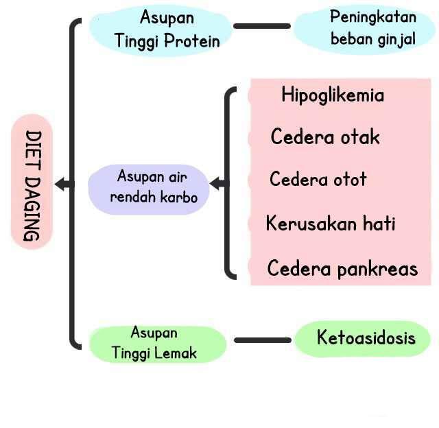 Apa itu Diet Atkins