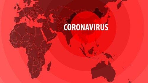 Apa itu Imported Case dalam kasus COVID-19 ? Ini penjelasannya . .