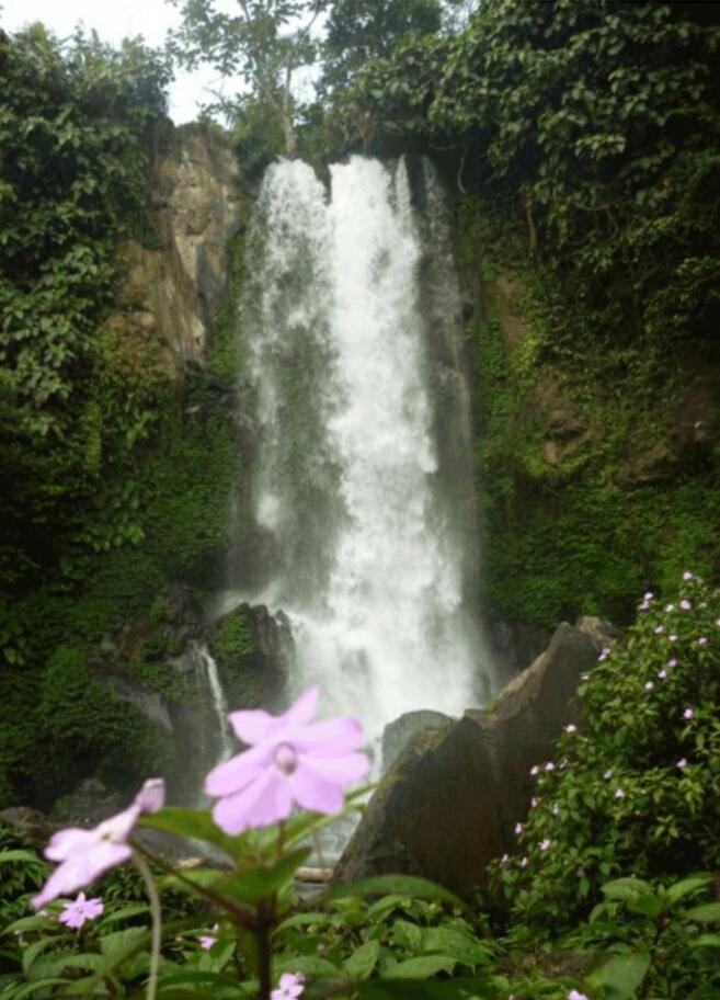 &#91; COC Regional : Lokasi Wisata &#93; Air Terjun Curug Embun Kabupaten Kepahyang,Bengkulu