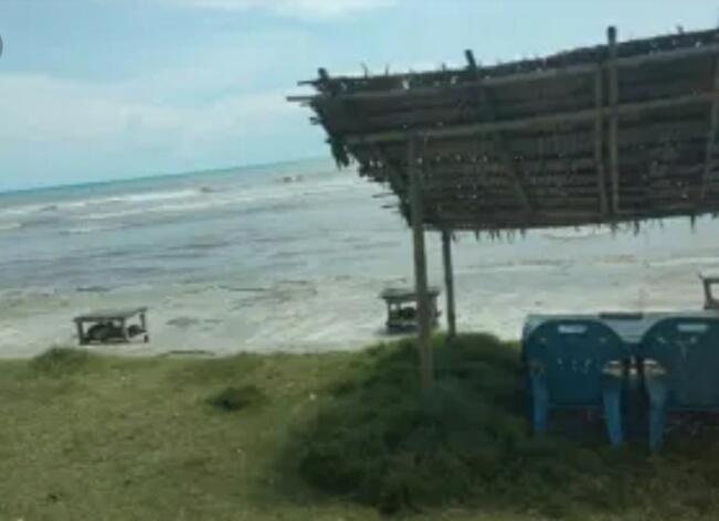 &#91; COC Regional : Lokasi Wisata &#93; Pantai Muara Kedurang Perpaduan Air Tawar dan Asin