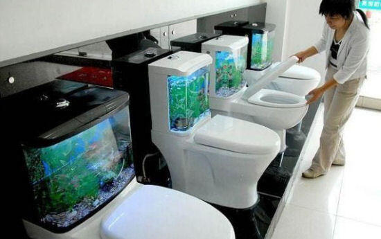 15 Toilet Ini Tidak Kalah Menarik dengan Toilet Premium yang Baru-Baru Ini Viral