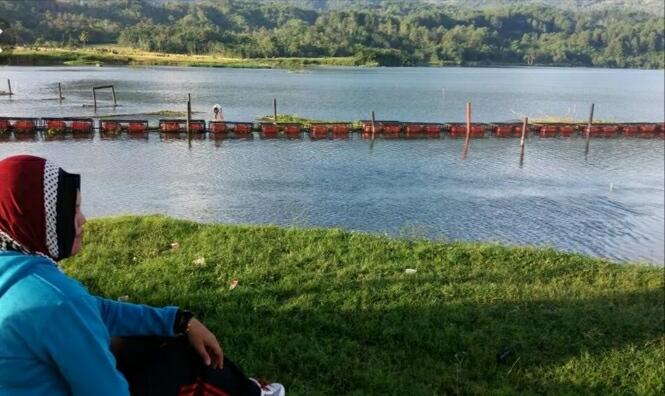 &#91; COC Regional : Lokasi Wisata &#93; Pesona Alam Danau Tes Kabupaten Lebong
